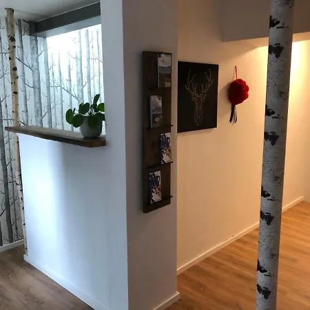 Black Forest Bike Kirchzarten