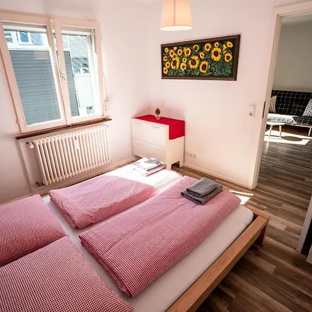 Black Forest Bike Kirchzarten