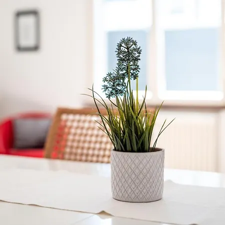 Black Forest Bike Apartment *