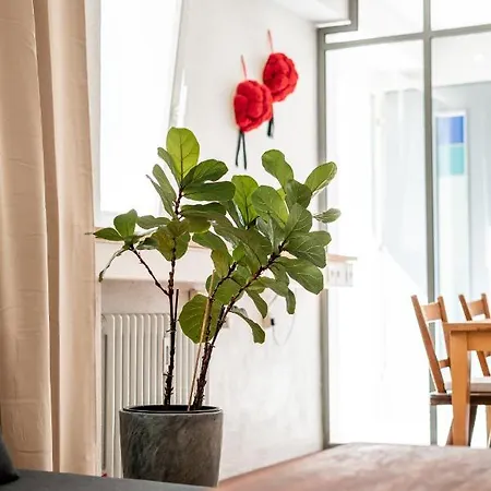 Black Forest Bike Kirchzarten